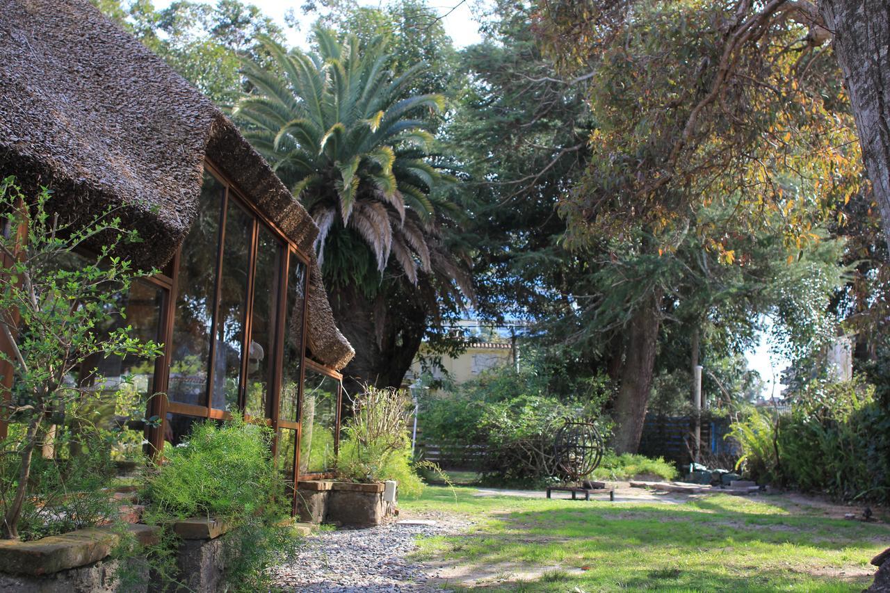 Santoral Restaurante Y Posada Pet Friendly Atlántida Eksteriør billede